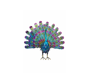 Peacock Green