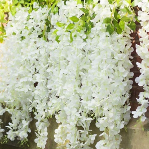 Wisteria-White