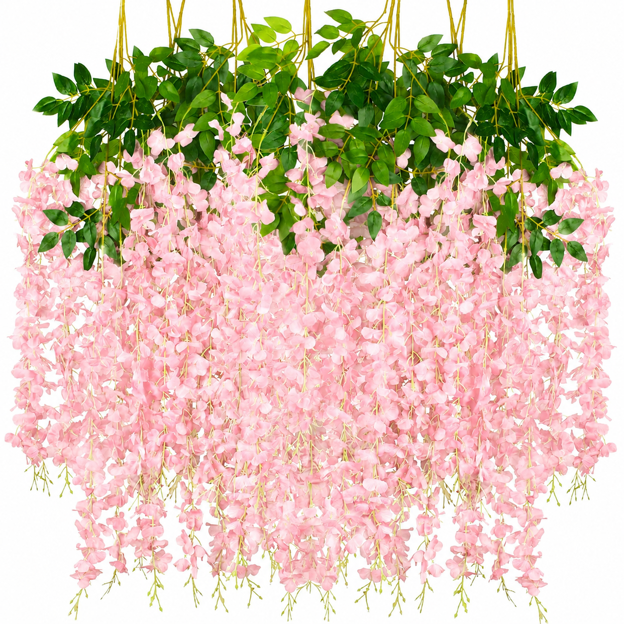Wisteria-Baby pink